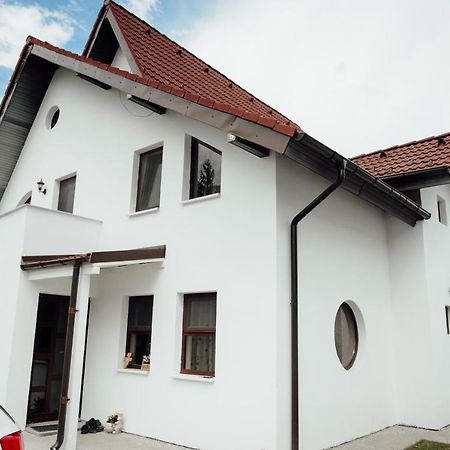 Autentic Adorabil Apartment Albestii Paminteni Eksteriør bilde